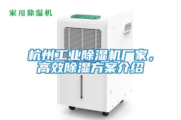 杭州工業香蕉视频国产廠家，高效除濕方案介紹