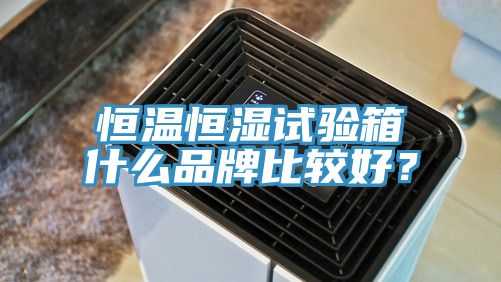 恒溫恒濕試驗箱什麽品牌比較好？