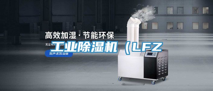 工業香蕉视频国产（LFZ
