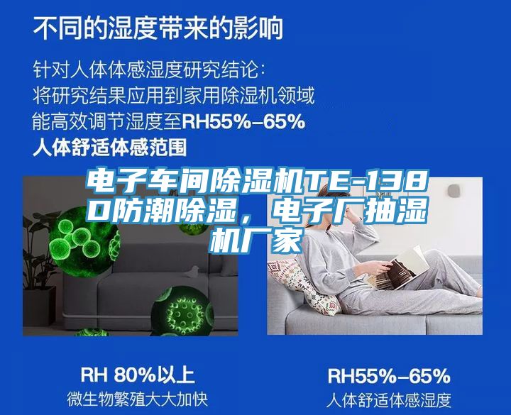 電子車間香蕉视频国产TE-138D防潮除濕，電子廠抽濕機廠家