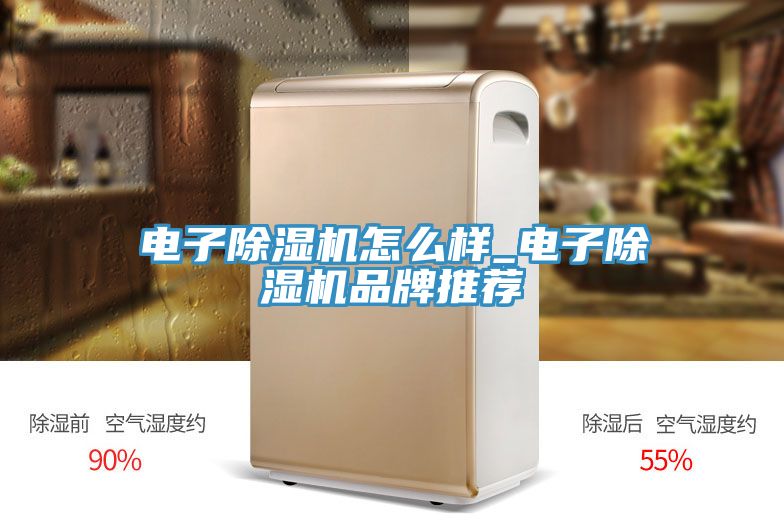 電子香蕉视频国产怎麽樣_電子香蕉视频国产品牌推薦