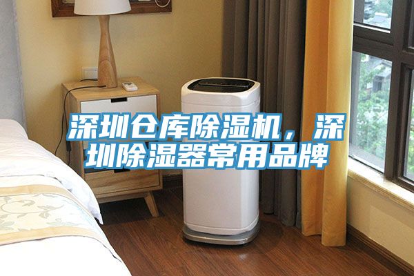 深圳倉庫香蕉视频国产，深圳除濕器常用品牌