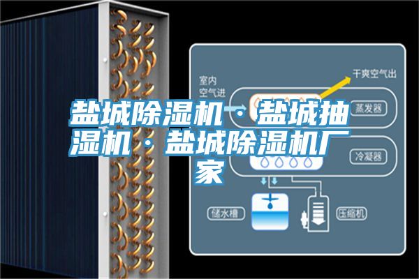 鹽城香蕉视频国产·鹽城抽濕機·鹽城香蕉视频国产廠家
