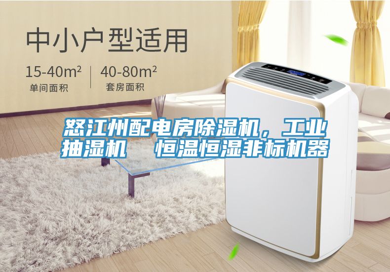 怒江州配電房香蕉视频国产，工業抽濕機  恒溫恒濕非標機器