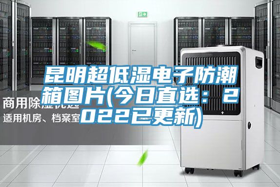 昆明超低濕電子防潮箱圖片(今日直選：2022已更新)