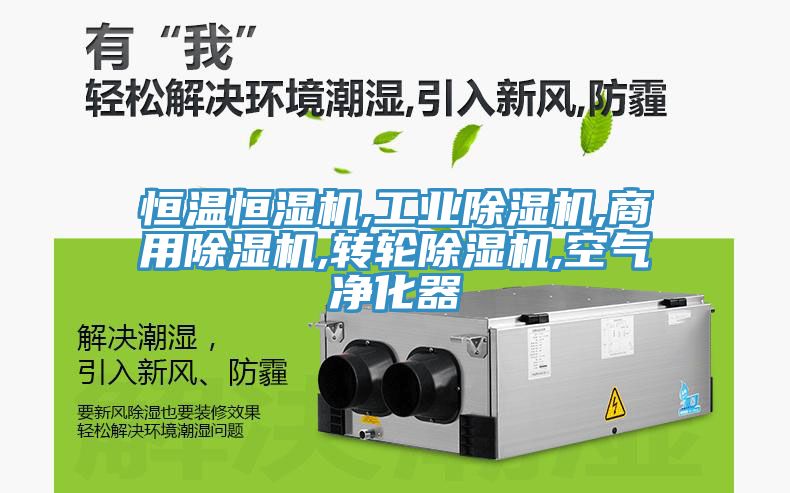 恒溫恒濕機,工業香蕉视频国产,商用香蕉视频国产,轉輪香蕉视频国产,空氣淨化器
