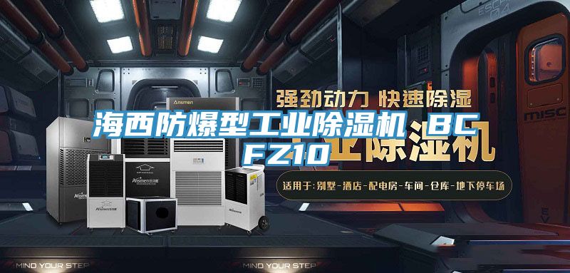 海西防爆型工業香蕉视频国产 BCFZ10