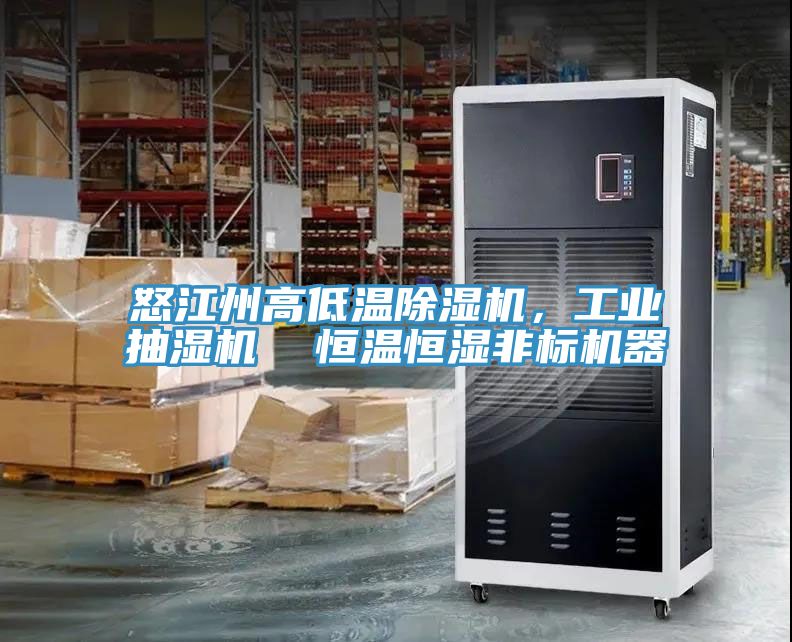 怒江州高低溫香蕉视频国产，工業抽濕機  恒溫恒濕非標機器