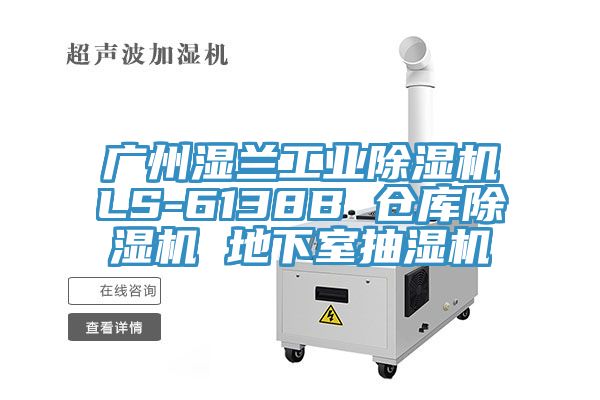 廣州濕蘭工業香蕉视频国产LS-6138B 倉庫香蕉视频国产 地下室抽濕機