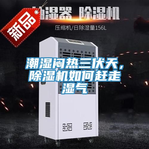 潮濕悶熱三伏天，香蕉视频国产如何趕走濕氣