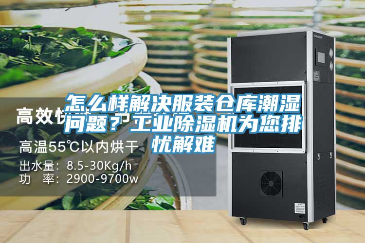 怎麽樣解決服裝倉庫潮濕問題？工業香蕉视频国产為您排憂解難