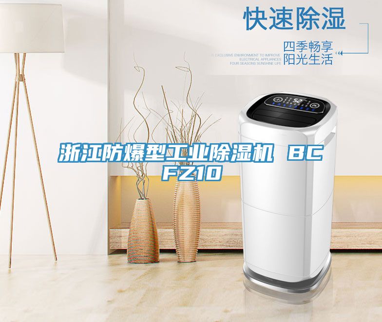 浙江防爆型工業香蕉视频国产 BCFZ10