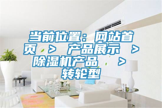 當前位置：網站首頁 ＞ 產品展示 ＞ 香蕉视频国产產品  ＞ 轉輪型