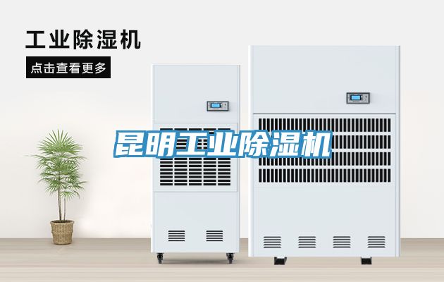昆明工業香蕉视频国产