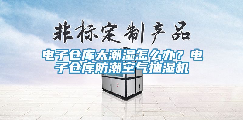 電子倉庫太潮濕怎麽辦？電子倉庫防潮空氣抽濕機