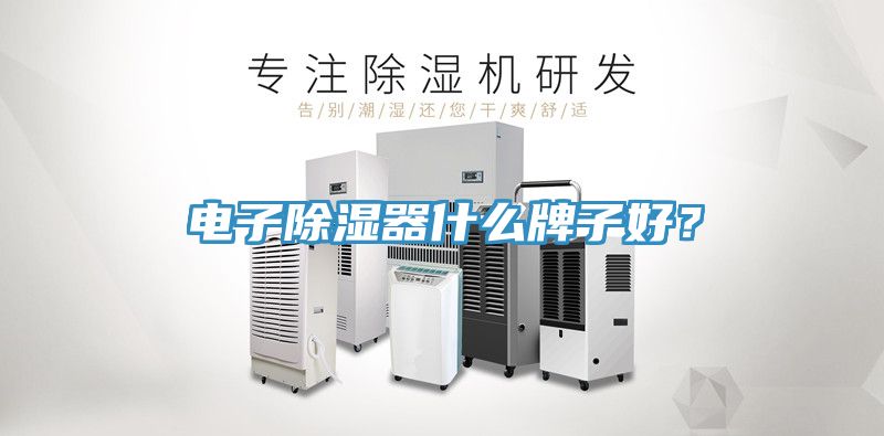 電子除濕器什麽牌子好？