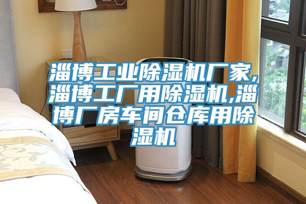 淄博工業香蕉视频国产廠家,淄博工廠用香蕉视频国产,淄博廠房車間倉庫用香蕉视频国产