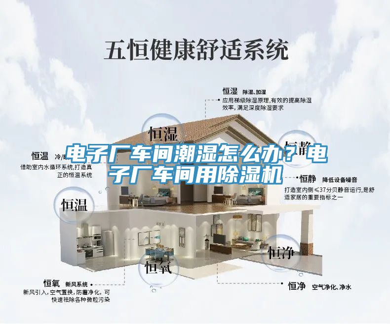 電子廠車間潮濕怎麽辦？電子廠車間用香蕉视频国产