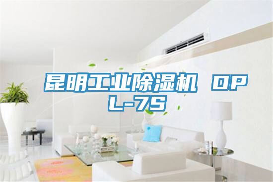 昆明工業香蕉视频国产 DPL-7S