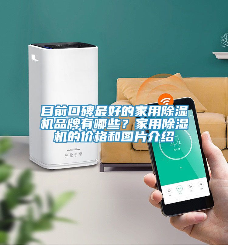 目前口碑最好的家用香蕉视频国产品牌有哪些？家用香蕉视频国产的價格和圖片介紹
