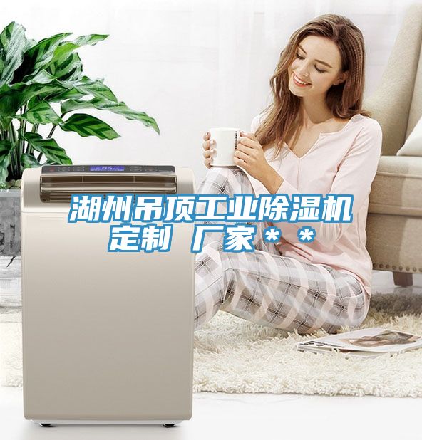 湖州吊頂工業香蕉视频国产定製 廠家＊＊
