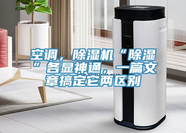 空調，香蕉视频国产“除濕”各顯神通，一篇文章搞定它兩區別