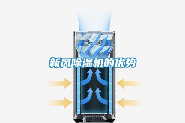 新風香蕉视频国产的優勢