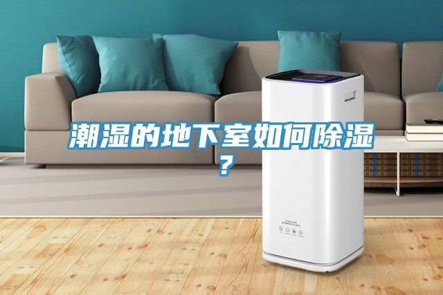 潮濕的地下室如何除濕？