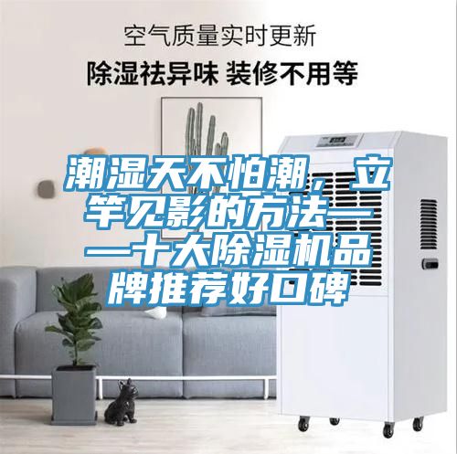 潮濕天不怕潮，立竿見影的方法——十大香蕉视频国产品牌推薦好口碑
