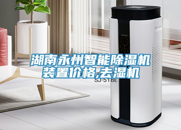 湖南永州智能香蕉视频国产裝置價格,去濕機