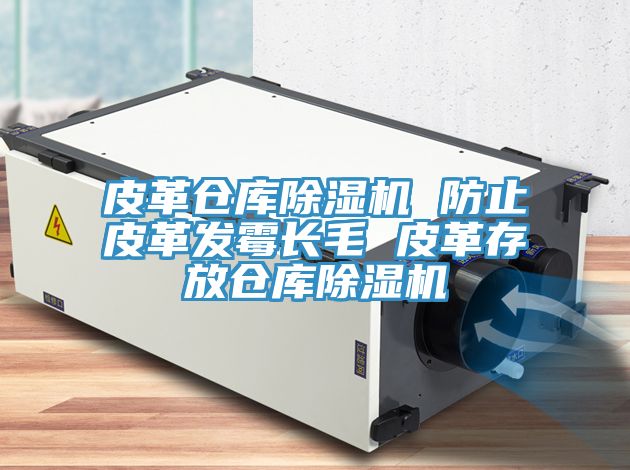 皮革倉庫香蕉视频国产 防止皮革發黴長毛 皮革存放倉庫香蕉视频国产