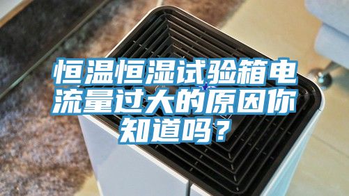 恒溫恒濕試驗箱電流量過大的原因你知道嗎？