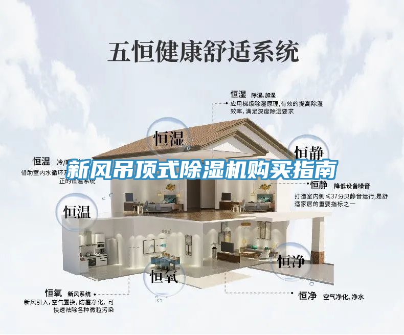 新風吊頂式香蕉视频国产購買指南