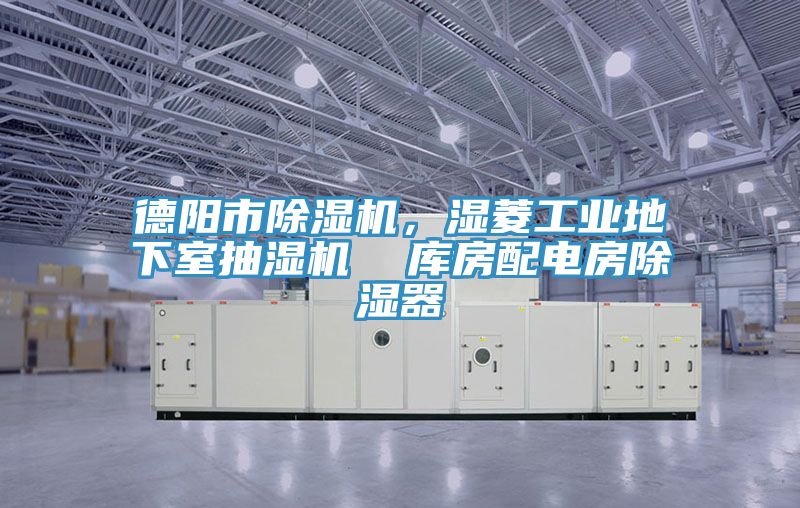 德陽市香蕉视频国产，濕菱工業地下室抽濕機  庫房配電房除濕器