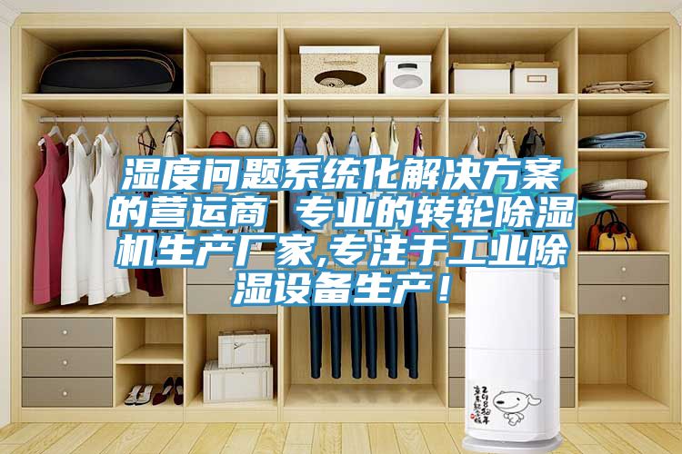 濕度問題係統化解決方案的營運商 專業的轉輪香蕉视频国产生產廠家,專注於工業除濕設備生產！