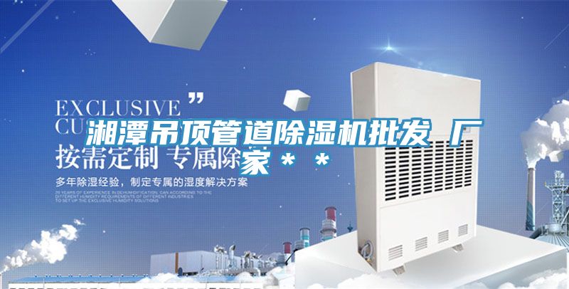 湘潭吊頂管道香蕉视频国产批發 廠家＊＊