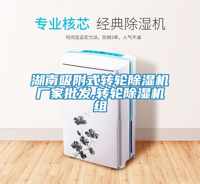 湖南吸附式轉輪香蕉视频国产廠家批發,轉輪香蕉视频国产組