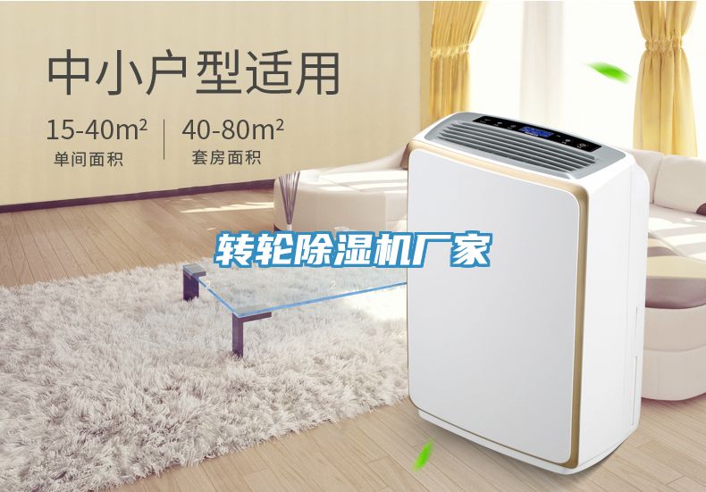 轉輪香蕉视频国产廠家