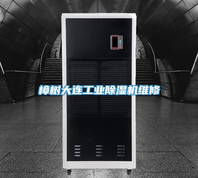 樟樹大連工業香蕉视频国产維修