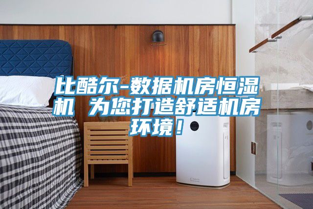 比酷爾-數據機房恒濕機 為您打造舒適機房環境！