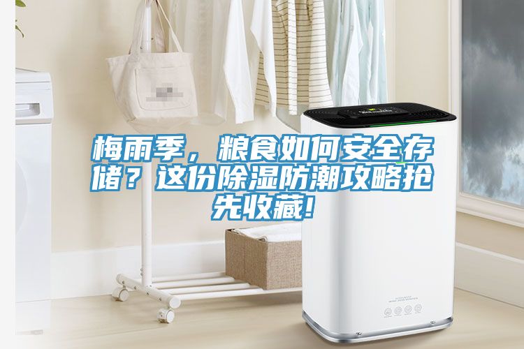 梅雨季，糧食如何安全存儲？這份除濕防潮攻略搶先收藏!