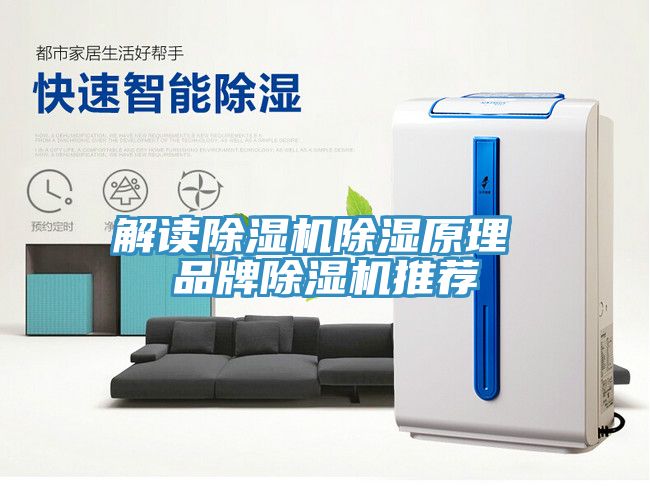 解讀香蕉视频国产除濕原理 品牌香蕉视频国产推薦