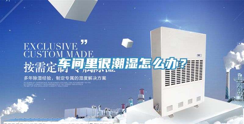 車間裏很潮濕怎麽辦？