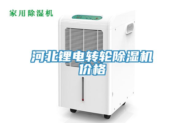 河北鋰電轉輪香蕉视频国产價格