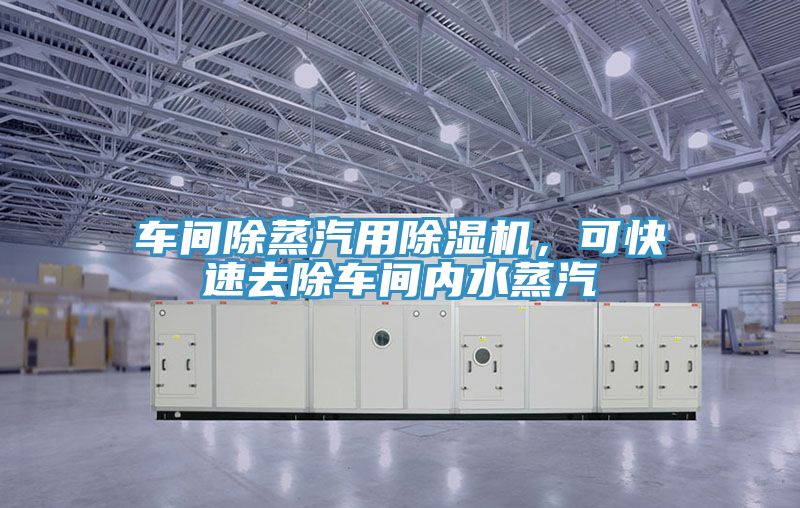 車間除蒸汽用香蕉视频国产，可快速去除車間內水蒸汽