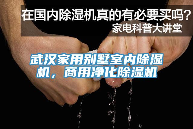 武漢家用別墅室內香蕉视频国产，商用淨化香蕉视频国产