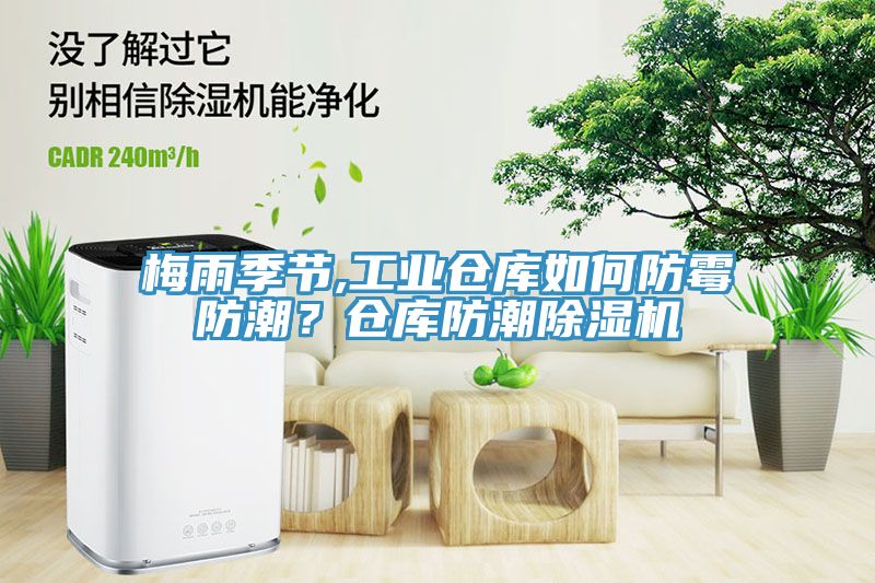 梅雨季節,工業倉庫如何防黴防潮？倉庫防潮香蕉视频国产