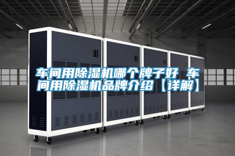 車間用香蕉视频国产哪個牌子好 車間用香蕉视频国产品牌介紹【詳解】