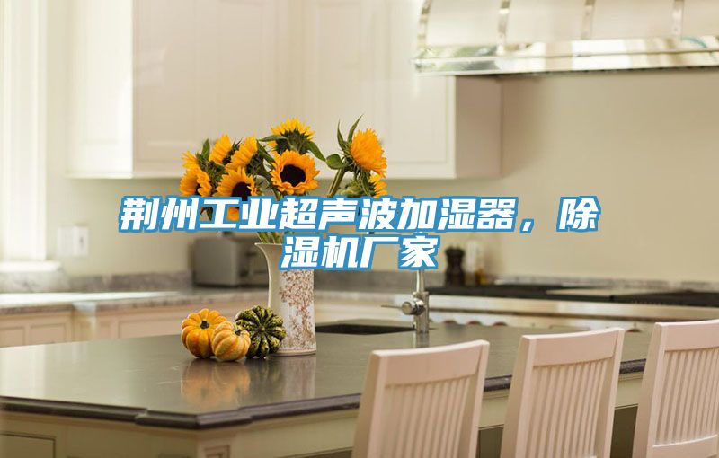 荊州工業超聲波加濕器，香蕉视频国产廠家