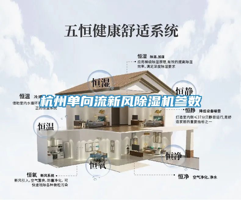 杭州單向流新風香蕉视频国产參數